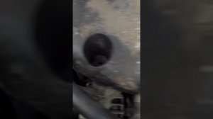 Стук при холодном запуске рено колеос 2,5 бензин