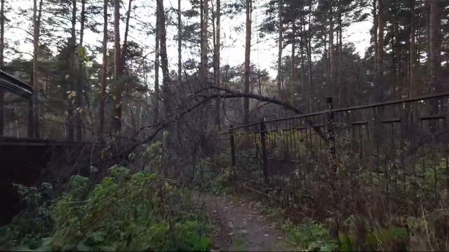 Ашмарино ЗАБРОШЕНЫЙ дом отдыха, лагерь #Квадрокоптер #СВысотыПтичьегоПолета смотреть онлайн