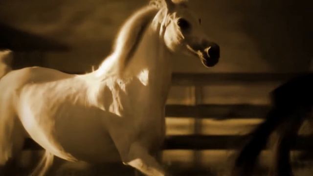 Корецкий Владимир _ Пара гнедых,запряженных с зарею _ романс _ Апухтин смотреть онлайн