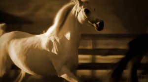 Корецкий Владимир _ Пара гнедых,запряженных с зарею _ романс _ Апухтин