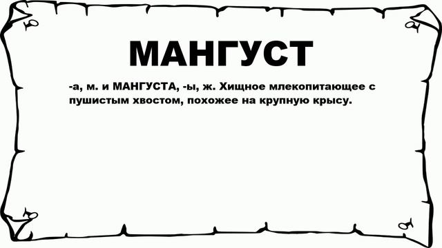 МАНГУСТ - что это такое? значение и описание смотреть онлайн