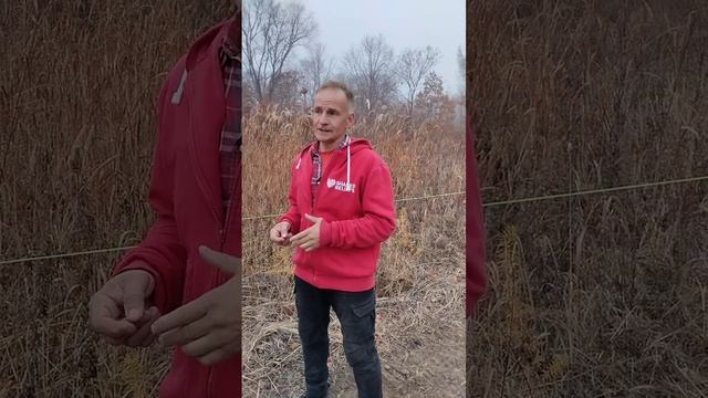 Дизайн Цветочной Фермы от пермакультурной мастерской Изобильный Мир по природоподобным технологиям смотреть онлайн