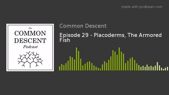 Episode 29 - Placoderms, The Armored Fish смотреть онлайн