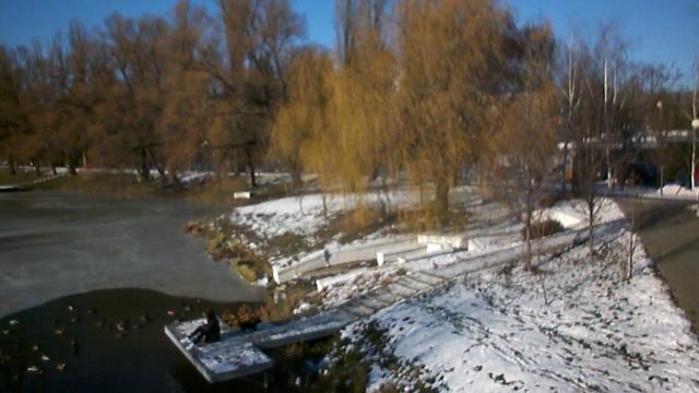породы уток и утки на пруду смотреть онлайн