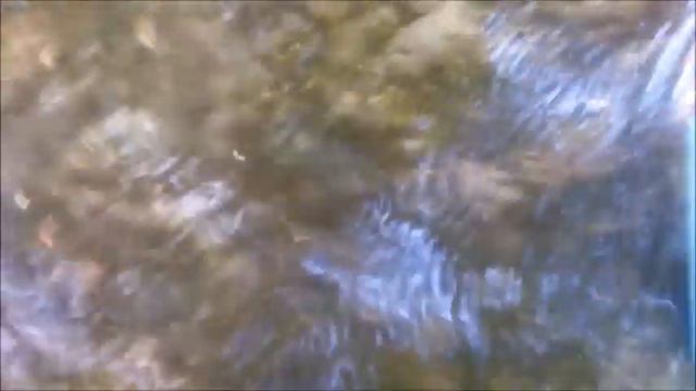 Пробы живой и мертвой воды в г. Сызрань смотреть онлайн