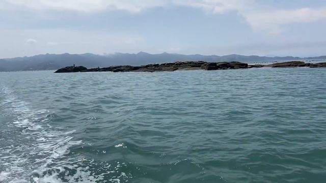 大红谷鱼打窝却被人盘了，阿峰阿生捕获一些鳗鱼桂鱼，分了带回家做大餐！【赶海阿生】 смотреть онлайн