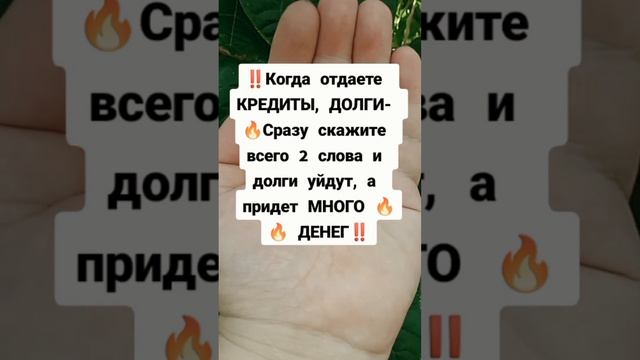 Подпешись на БОГАТСТВО‼️#заговор #магия #обряды #обрядынаденьги #деньги #приметы #заговоры #ритуалы смотреть онлайн