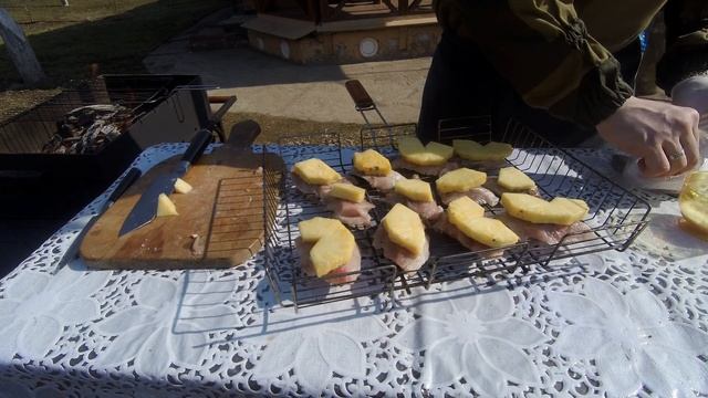 Забавные Моменты с Животными