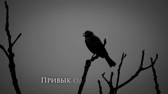 [Leonard Cohen - Hallelujah] Гитарный Кавер На Русском смотреть онлайн