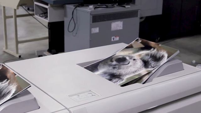 Xerox 1000i | Digital Color Press смотреть онлайн