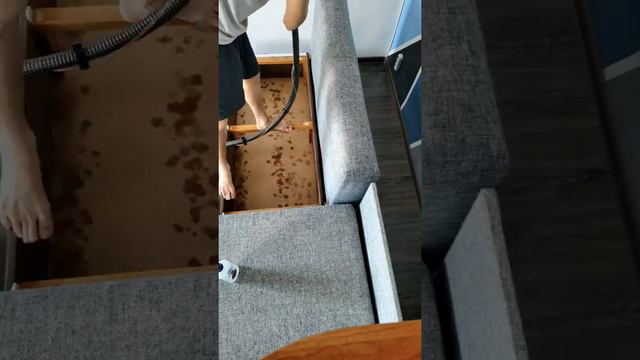 Чистка дивана смотреть онлайн