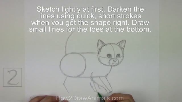 How To Draw A Kitten