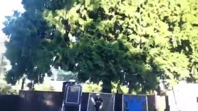 Rip session with J Toy смотреть онлайн