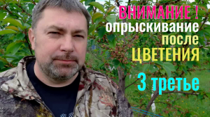 Опрыскивание После ЦВЕТЕНИЯ. Это ВАЖНО! Не Упустите! «Секреты садовода»