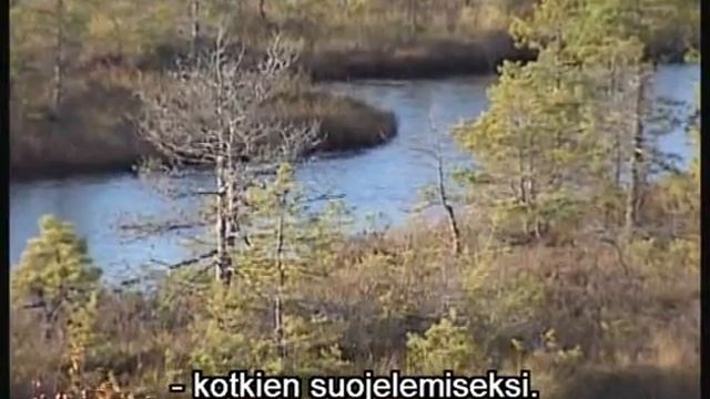 Эстония. Часть 3 / Estonia. Part 3