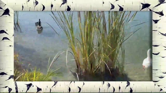 LOVE LAKE DUBAI - DUBAI's TOP TOURIST DESTINATIONS @ AL QUDRA LAKES смотреть онлайн