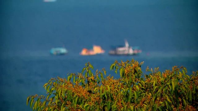 Panasonic ag-ac 160 test in koh tao island thailan смотреть онлайн