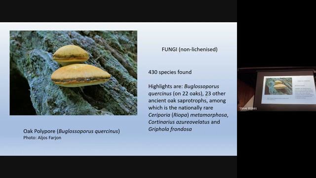 A Biodiversity Survey of High Park, Blenheim: Aljos Farjon, Royal Botanic Gardens Kew смотреть онлайн