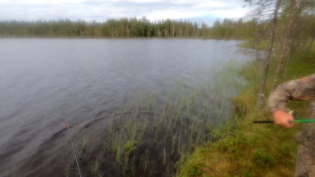 Рыбалка на хариусной речке в Архангельской области. Удачный выезд. смотреть онлайн
