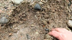 Находка золотых залежей !!! Намыло самородки золота из реки !!! Нашёл случайно!!!