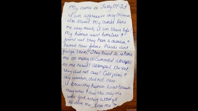 Его оставили у двери приюта. Там же была записка, содержание которой просто разбивает сердце! смотреть онлайн