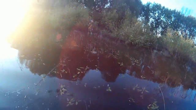 Открытие осенней охоты 2018 смотреть онлайн