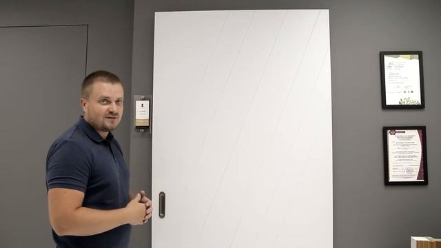 RADADOORS обзор дверей ILLUSION смотреть онлайн