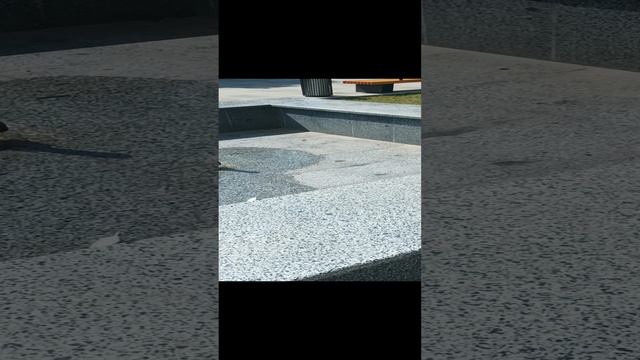 Луганск красивые места прошлый год