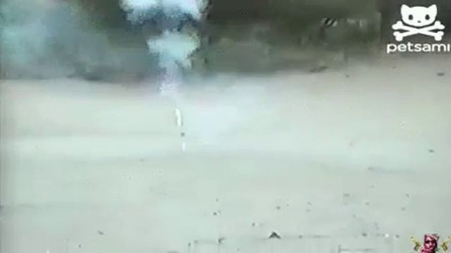 Хотели пРаздник? Получите! смотреть онлайн