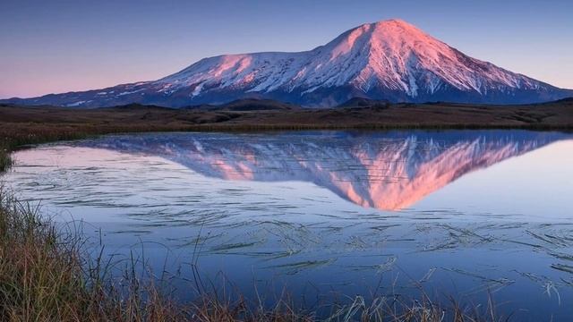 Стих школьное признание в любви | приятные слова девушке | стихи о любви смотреть онлайн