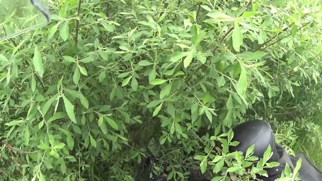 Деревня Летово! На эндуро в гости к БаБе-Яге... смотреть онлайн