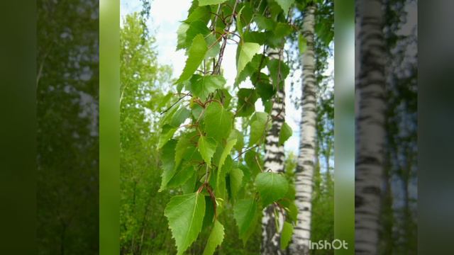 Потпишись и слушай песни. А на сердце опять горячо горячо. смотреть онлайн