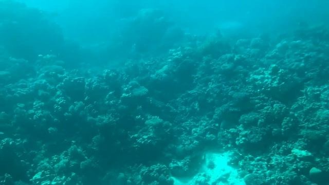 Погружаемся на подводной лодке Батискаф / Dive in the submarine Batiskaf смотреть онлайн