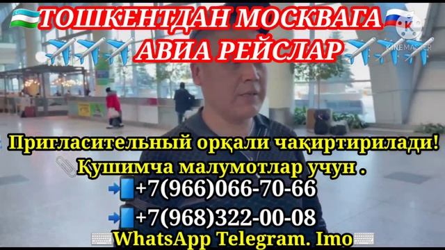 #срочно #самолёт #чартер #рейс ТАШКЕНТ  - МОСКВА АВИАРЕЙСЫ, АВИАБИЛЕТЫ. ✈✈✈ чартер с нами надёжно.