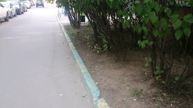 Когда дворники за свою работу отвечать будут? Куда смотрит техник смотритель. смотреть онлайн