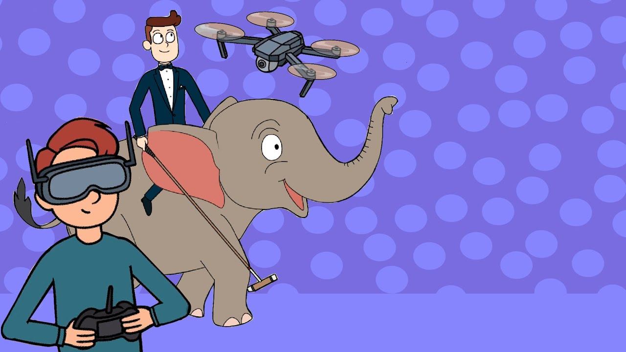 ЗАБАВНЫЙ СПОРТ: ПОЛО НА СЛОНАХ