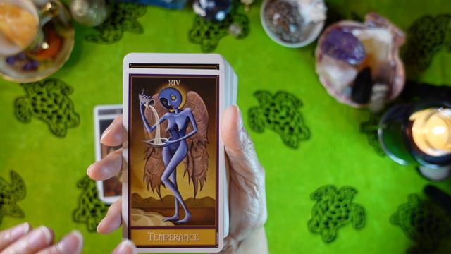 Deviant Moon Tarot Deck Review смотреть онлайн