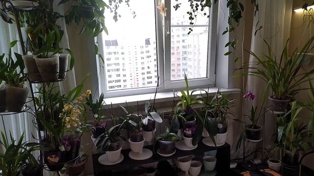 Цветочная переделка. Спальня_2. смотреть онлайн