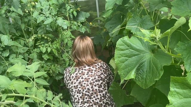 Выходные провели на ура👍было весело и уютно,время пролетело не заметно,все разъехались,опять одна смотреть онлайн