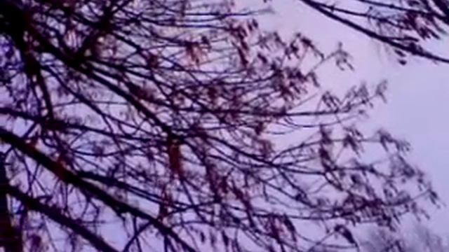 Ясень зимой смотреть онлайн