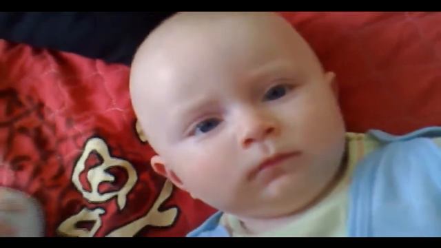 нос у слона.mp4