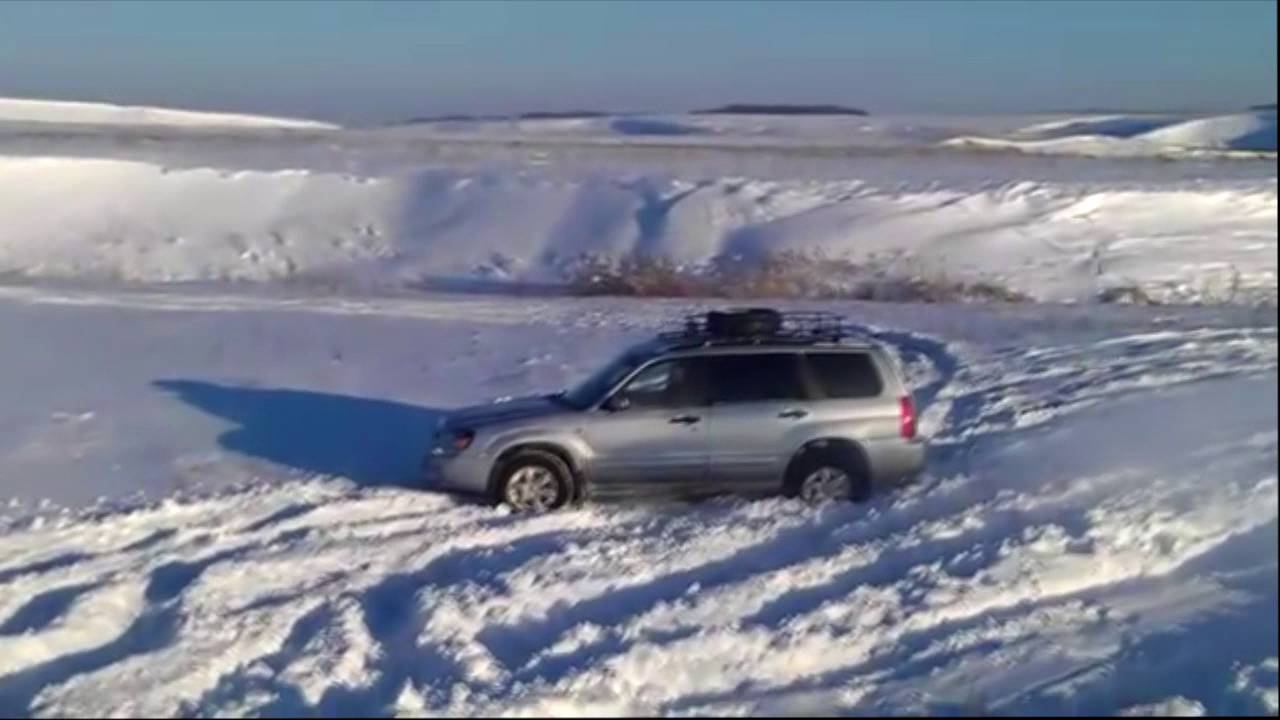 Forester Vs Prado - Просто зимние покатушки