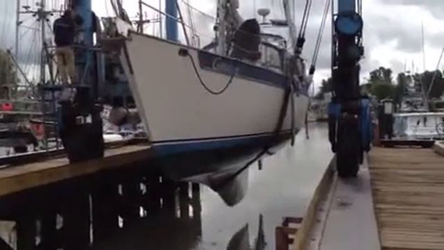 Fish out of water 2 смотреть онлайн