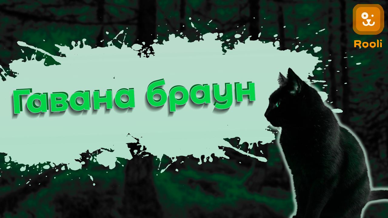 Гавана Браун смотреть онлайн