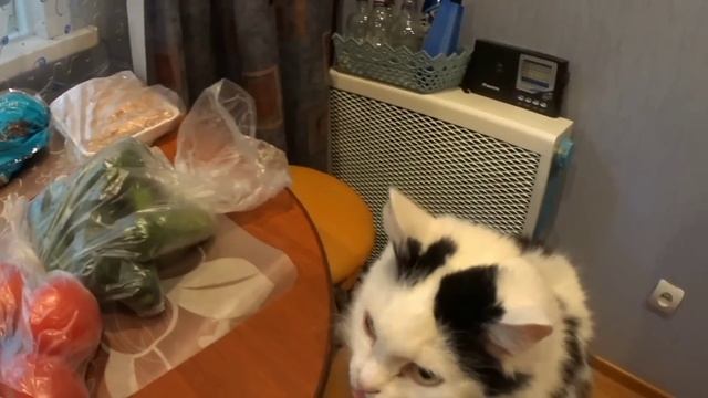 За покупками на рынок/Опять забыла смотреть онлайн