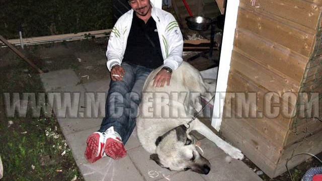 Mc Serkan Tehlikeli Madde Cek Git 2010 ALBUM TRACK смотреть онлайн