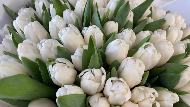 Букет из 101 тюльпана Ле-Пое-Лаваль