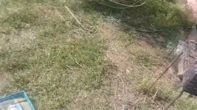 Коптим рыбу смотреть онлайн