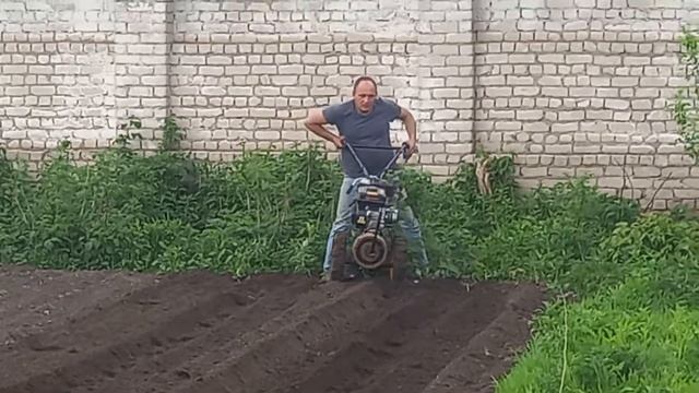 Заделка паслена клубненосного(картофеля) окучником смотреть онлайн