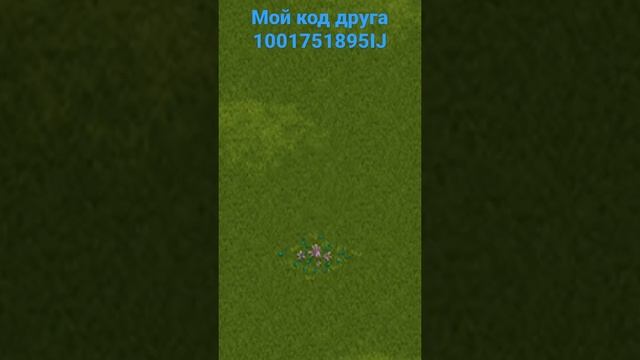 Животные в Режиме Онлайн